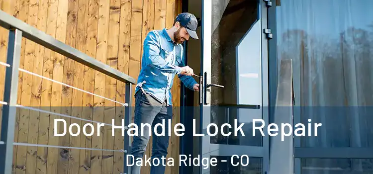 Door Handle Lock Repair Dakota Ridge - CO