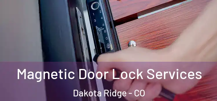 Magnetic Door Lock Services Dakota Ridge - CO