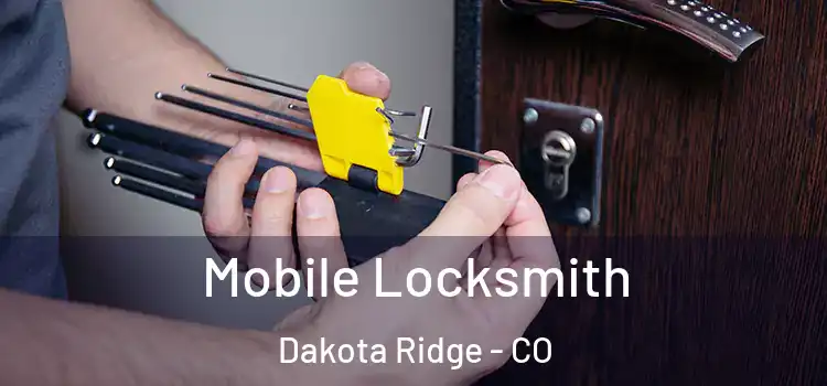 Mobile Locksmith Dakota Ridge - CO